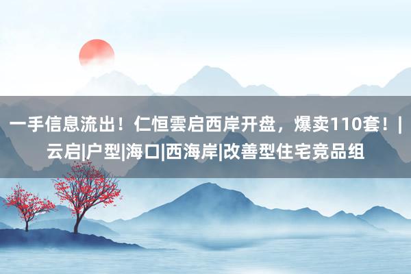 一手信息流出！仁恒雲启西岸开盘，爆卖110套！|云启|户型|海口|西海岸|改善型住宅竞品组