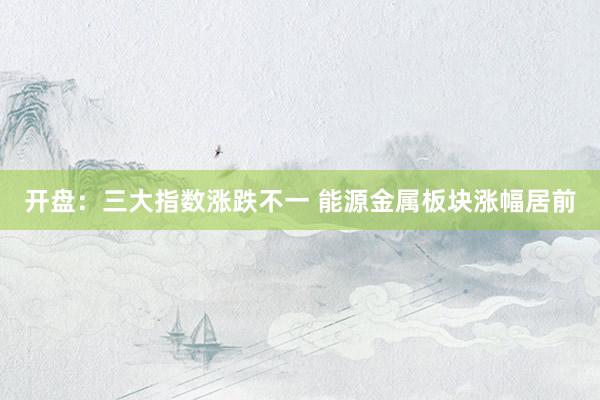开盘：三大指数涨跌不一 能源金属板块涨幅居前