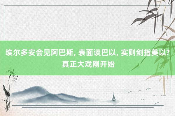 埃尔多安会见阿巴斯, 表面谈巴以, 实则剑指美以? 真正大戏刚开始