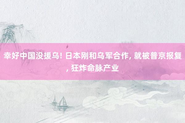 幸好中国没援乌! 日本刚和乌军合作, 就被普京报复, 狂炸命脉产业
