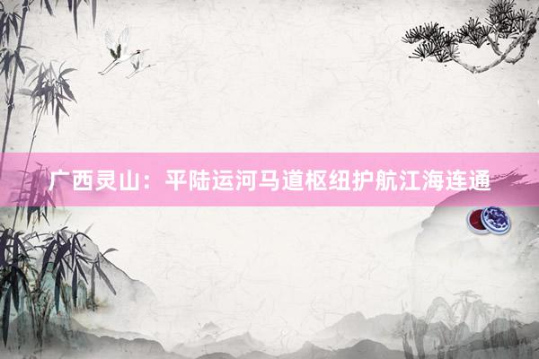 广西灵山：平陆运河马道枢纽护航江海连通