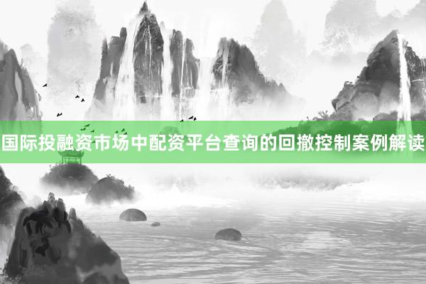 国际投融资市场中配资平台查询的回撤控制案例解读