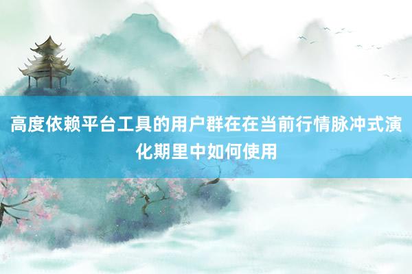 高度依赖平台工具的用户群在在当前行情脉冲式演化期里中如何使用